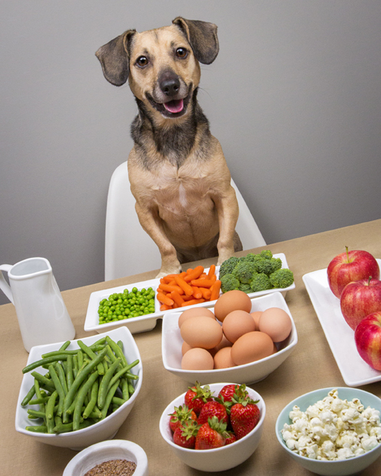 A dog beside a bowl of fresh food